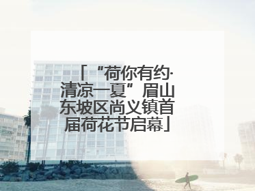 “荷你有约·清凉一夏”眉山东坡区尚义镇首届荷花节启幕