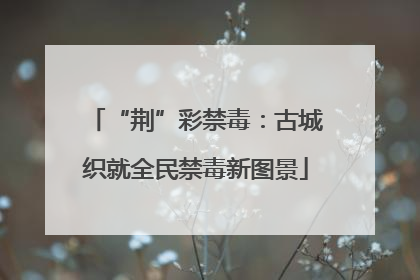 “荆”彩禁毒：古城织就全民禁毒新图景