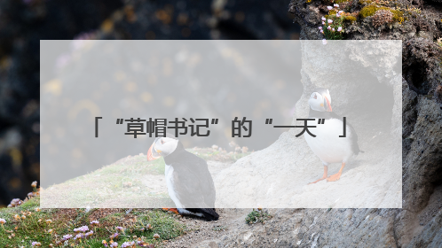 “草帽书记”的“一天”