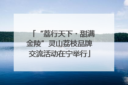 “荔行天下・甜满金陵”灵山荔枝品牌交流活动在宁举行