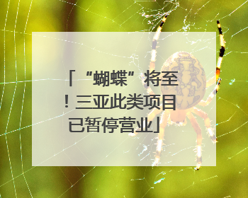 “蝴蝶”将至！三亚此类项目已暂停营业