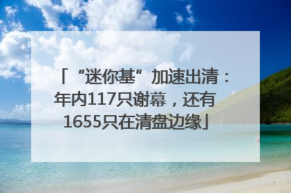 “迷你基”加速出清：年内117只谢幕，还有1655只在清盘边缘