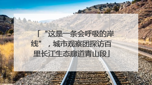 “这是一条会呼吸的岸线”，城市观察团探访百里长江生态廊道青山段