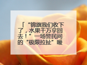 “锦旗我们收下了，水果千万拿回去！”一场警民间的“极限拉扯”暖了整个城