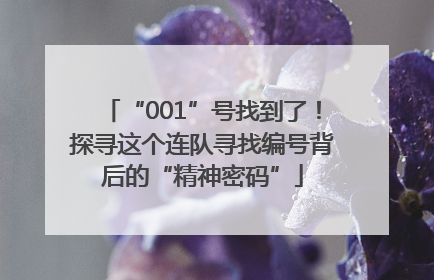 “001”号找到了！探寻这个连队寻找编号背后的“精神密码”