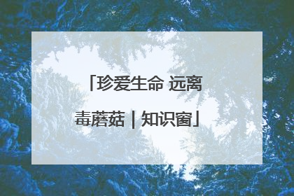 珍爱生命 远离毒蘑菇｜知识窗