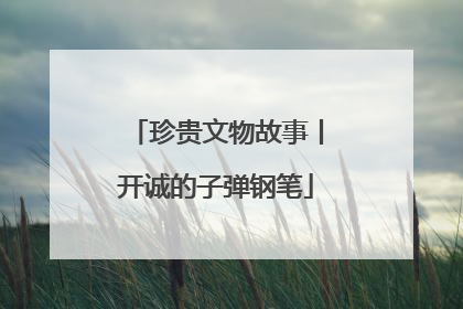 珍贵文物故事丨开诚的子弹钢笔