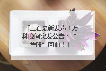 王石最新发声！万科晚间突发公告：“售股”回血！