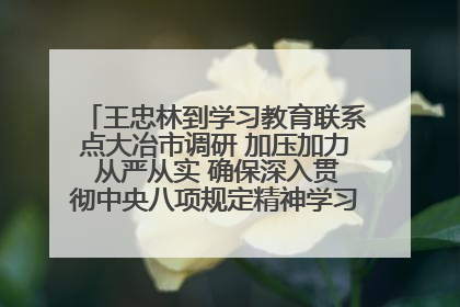 王忠林到学习教育联系点大冶市调研 加压加力 从严从实 确保深入贯彻中央八项规定精神学习教育取得实效