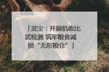 灵宝：开展机收比武检测 筑牢粮食减损“无形粮仓”