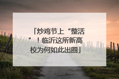 炒鸡节上“整活”！临沂这所新高校为何如此出圈