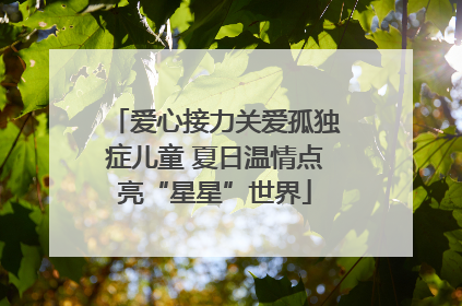 爱心接力关爱孤独症儿童 夏日温情点亮“星星”世界