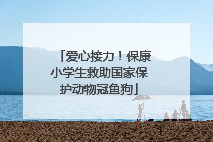 爱心接力！保康小学生救助国家保护动物冠鱼狗