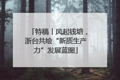 特稿丨风起钱塘，浙台共绘“新质生产力”发展蓝图