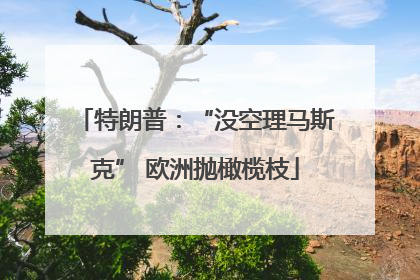 特朗普：“没空理马斯克” 欧洲抛橄榄枝