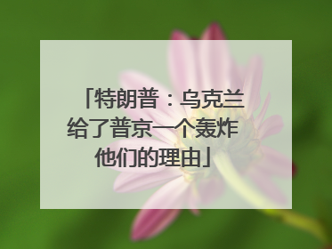 特朗普：乌克兰给了普京一个轰炸他们的理由