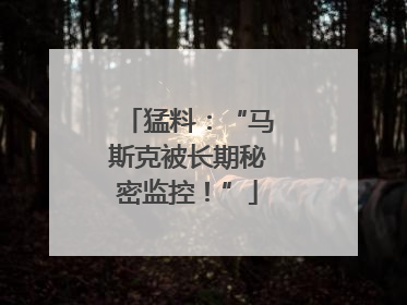 猛料：“马斯克被长期秘密监控！”