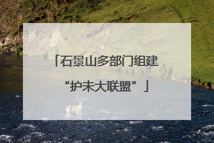 石景山多部门组建“护未大联盟”