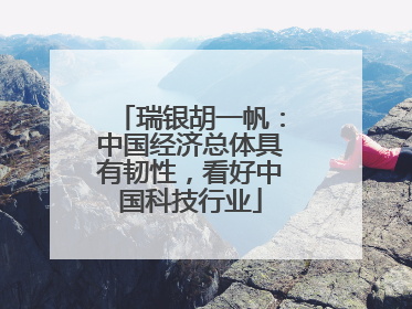 瑞银胡一帆：中国经济总体具有韧性，看好中国科技行业