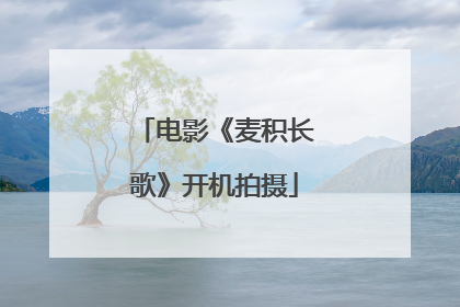 电影《麦积长歌》开机拍摄