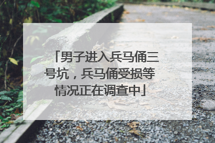 男子进入兵马俑三号坑，兵马俑受损等情况正在调查中