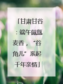 甘肃甘谷:端午氤氲麦香,“谷角儿”系起千年亲情