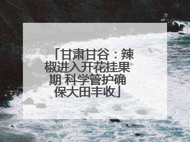 甘肃甘谷：辣椒进入开花挂果期 科学管护确保大田丰收