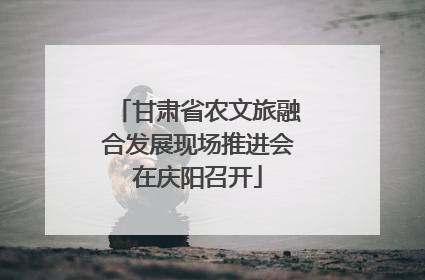 甘肃省农文旅融合发展现场推进会在庆阳召开