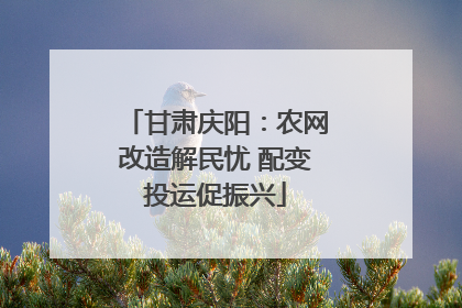 甘肃庆阳：农网改造解民忧 配变投运促振兴