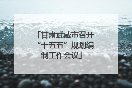 甘肃武威市召开“十五五”规划编制工作会议