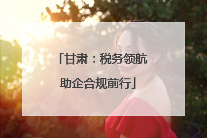 甘肃：税务领航 助企合规前行