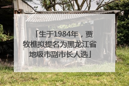 生于1984年，贾牧樵拟提名为黑龙江省地级市副市长人选