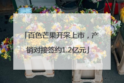 百色芒果开采上市，产销对接签约1.2亿元