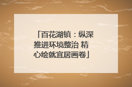 百花湖镇：纵深推进环境整治 精心绘就宜居画卷