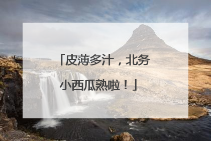 皮薄多汁，北务小西瓜熟啦！