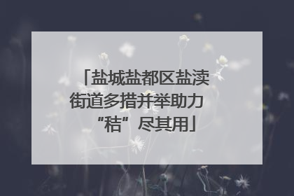 盐城盐都区盐渎街道多措并举助力“秸”尽其用