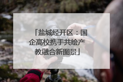 盐城经开区：国企高校携手共绘产教融合新图景