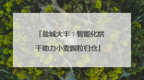 盐城大丰：智能化烘干助力小麦颗粒归仓