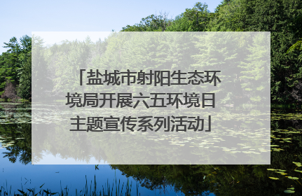 盐城市射阳生态环境局开展六五环境日主题宣传系列活动
