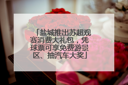 盐城推出苏超观赛消费大礼包，凭球票可享免费游景区、抽汽车大奖