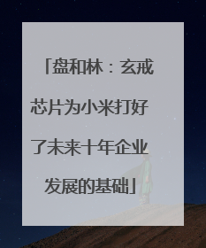 盘和林：玄戒芯片为小米打好了未来十年企业发展的基础