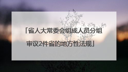 省人大常委会组成人员分组审议2件省的地方性法规