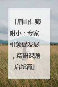 眉山仁师附小：专家引领促发展，精研课题启新篇