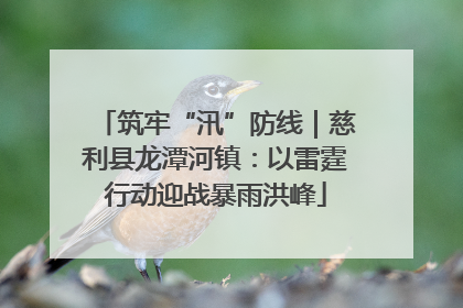 筑牢“汛”防线｜慈利县龙潭河镇：以雷霆行动迎战暴雨洪峰