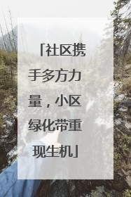 社区携手多方力量，小区绿化带重现生机