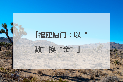 福建厦门：以“数”换“金”