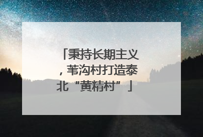 秉持长期主义，苇沟村打造泰北“黄精村”