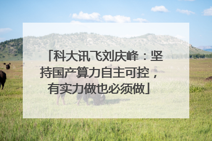 科大讯飞刘庆峰：坚持国产算力自主可控，有实力做也必须做