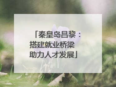 秦皇岛昌黎：搭建就业桥梁 助力人才发展