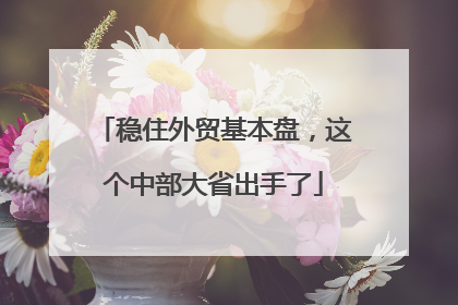 稳住外贸基本盘，这个中部大省出手了